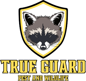 True Guard Pest and Wildlife Logo with raccoon trapping on it