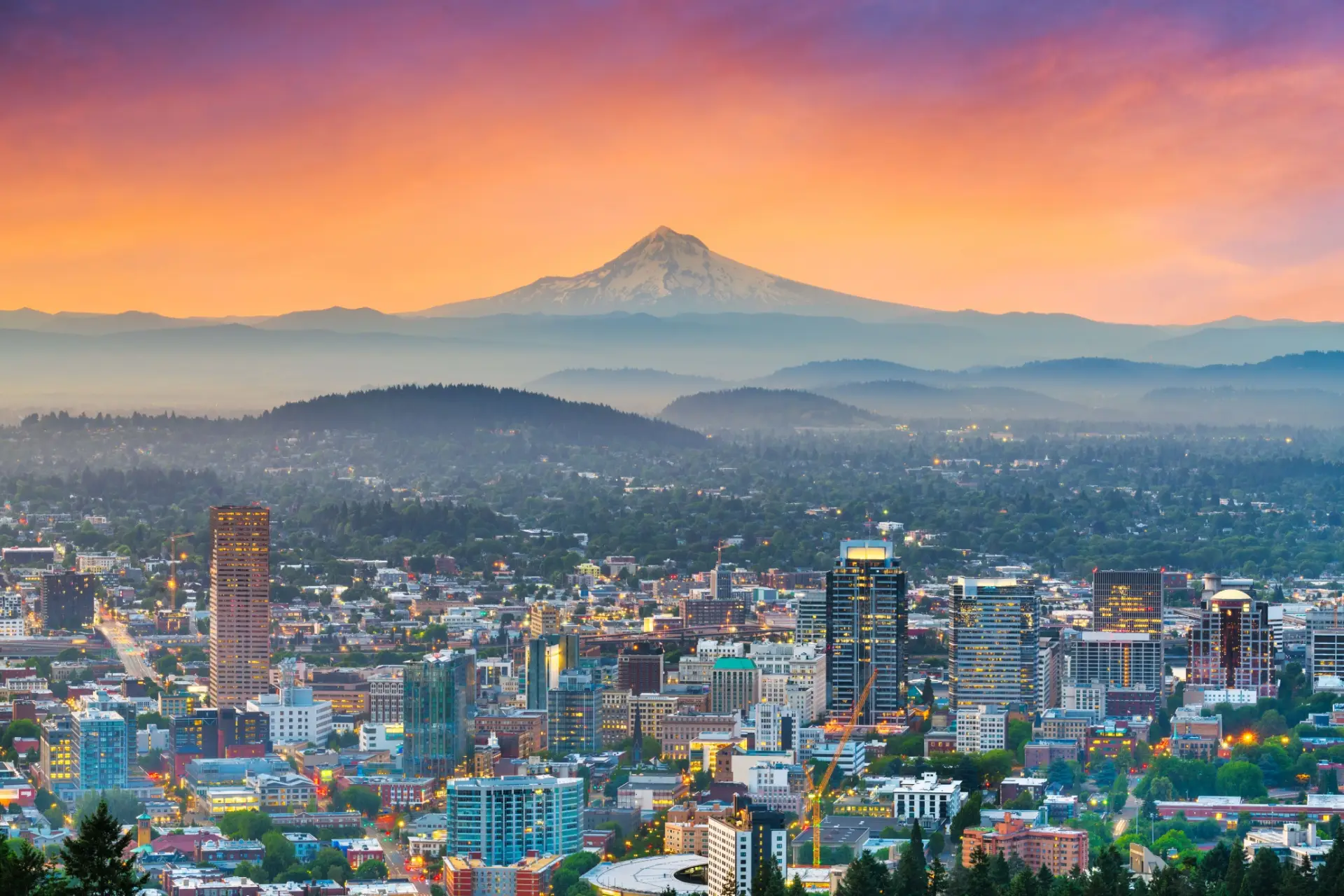 Who Should I Hire for Pest Control in Portland, OR?