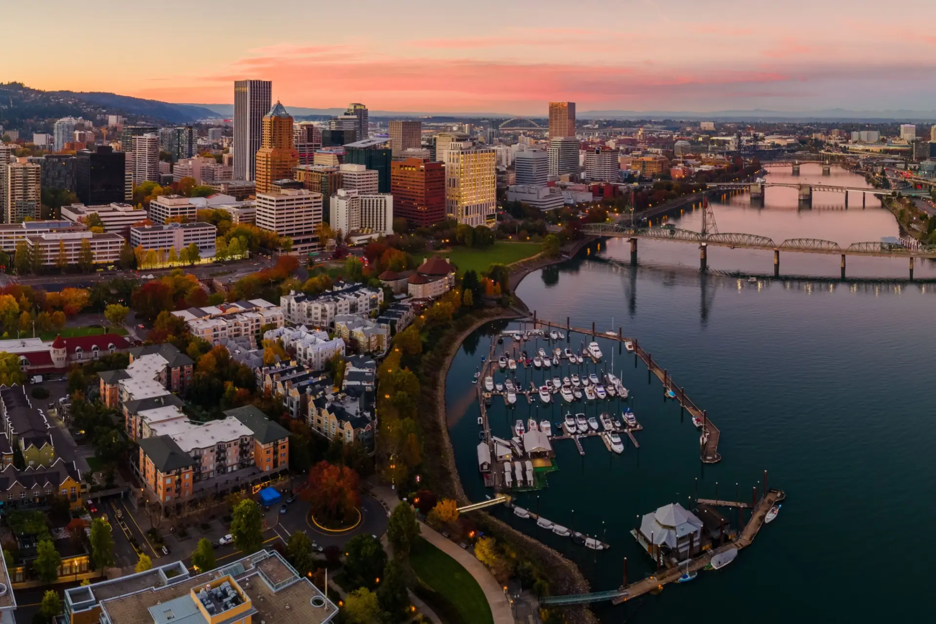 Best Pest Control in Portland, OR