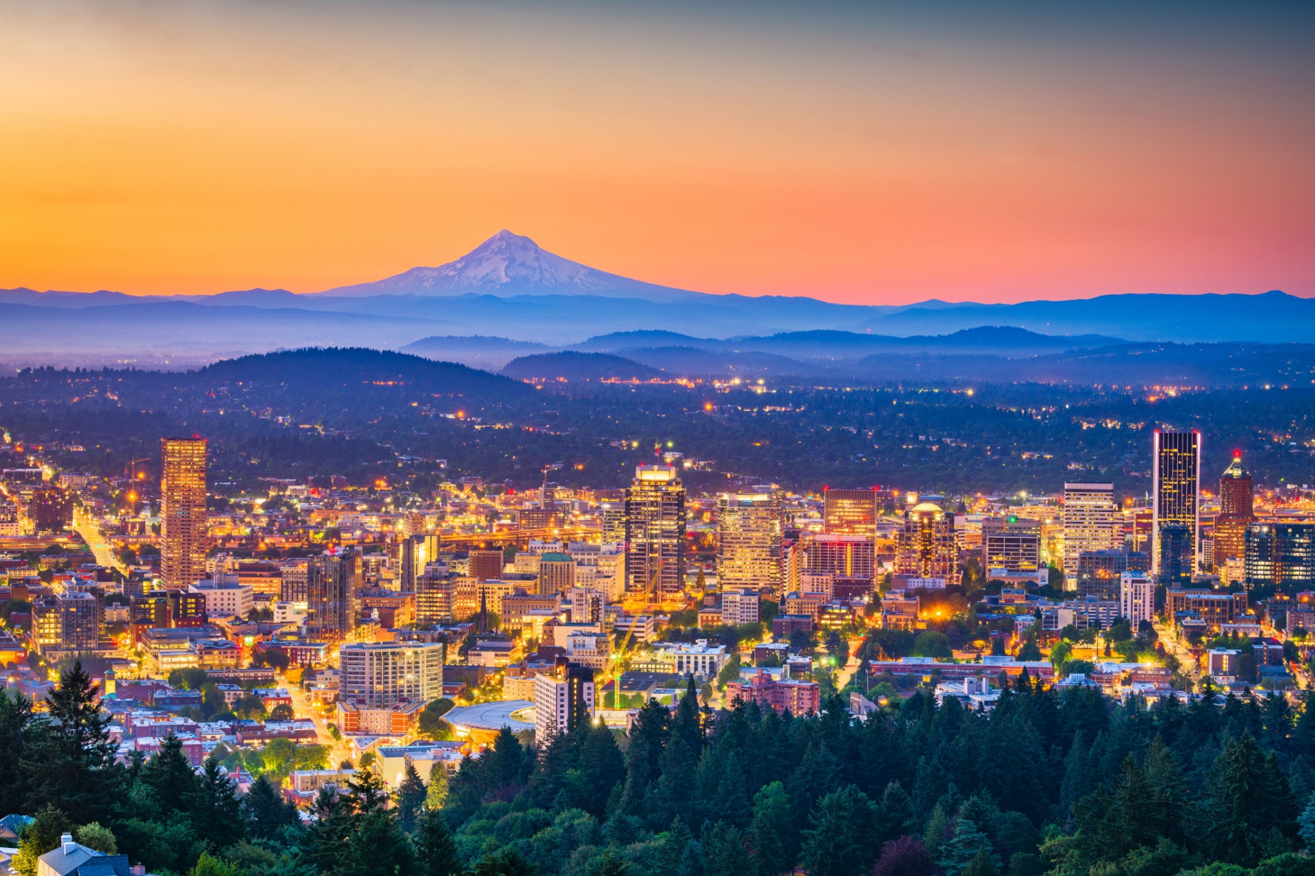 Who’s the Best Pest Control Company for Residential Homes in Portland, OR?