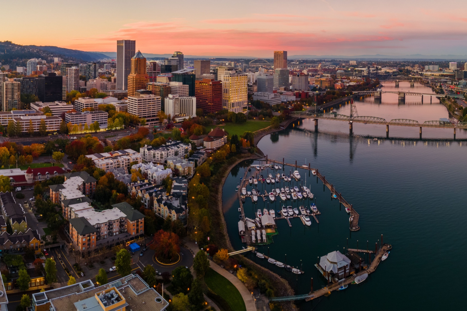 Who’s the Best Pest Control Company Near Me in Portland, OR?