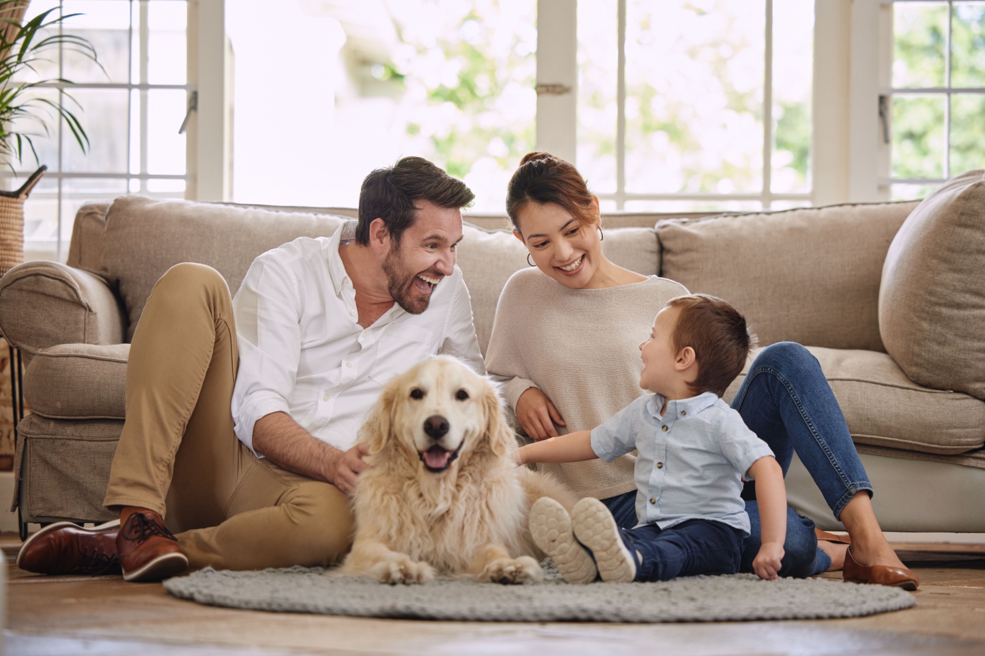 Who’s the Best Pest Control Company for Pet Owners in Portland?